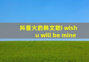 抖音火的韩文歌i wish u will be mine